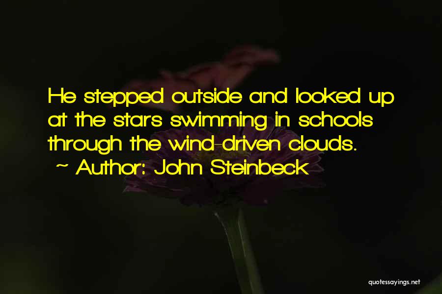 Clouds And Stars Quotes By John Steinbeck