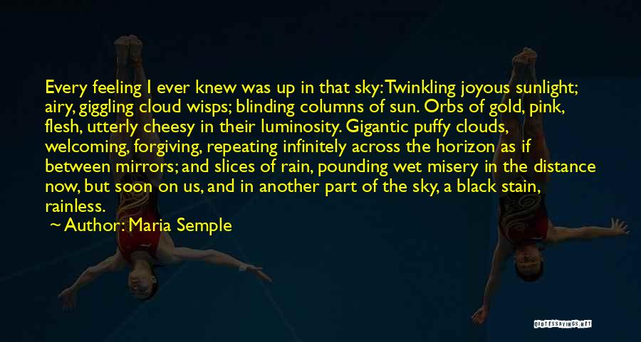 Clouds And Sun Quotes By Maria Semple