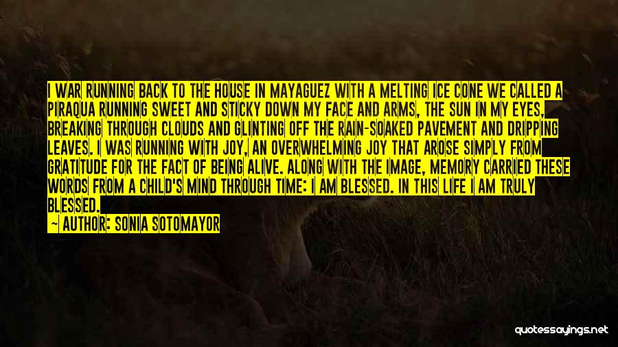 Clouds And Sun Quotes By Sonia Sotomayor