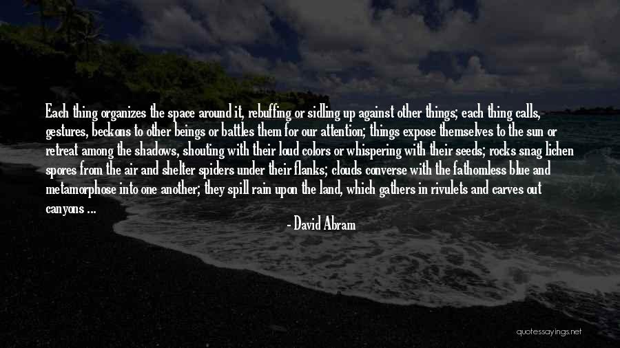Clouds With Rain Quotes By David Abram Clouds With Rain Quotes By David Abram