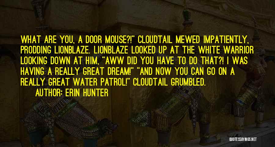 Cloudtail Quotes By Erin Hunter