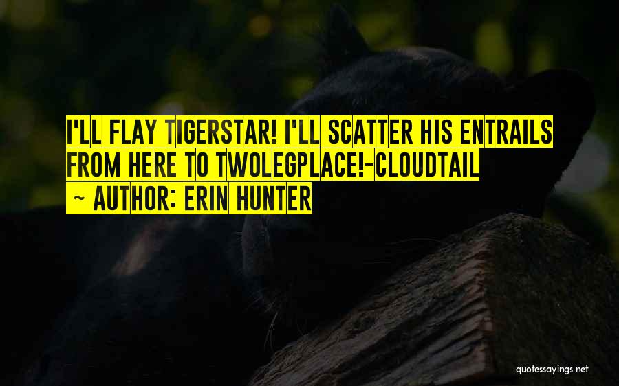 Cloudtail Quotes By Erin Hunter