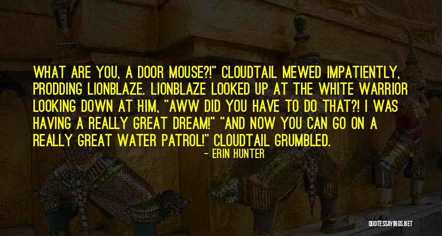 Cloudtail Warriors Quotes By Erin Hunter Cloudtail Warriors Quotes By Erin Hunter