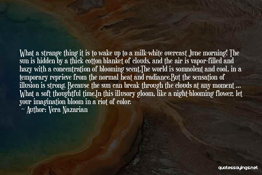 Cloudy Morning Quotes By Vera Nazarian