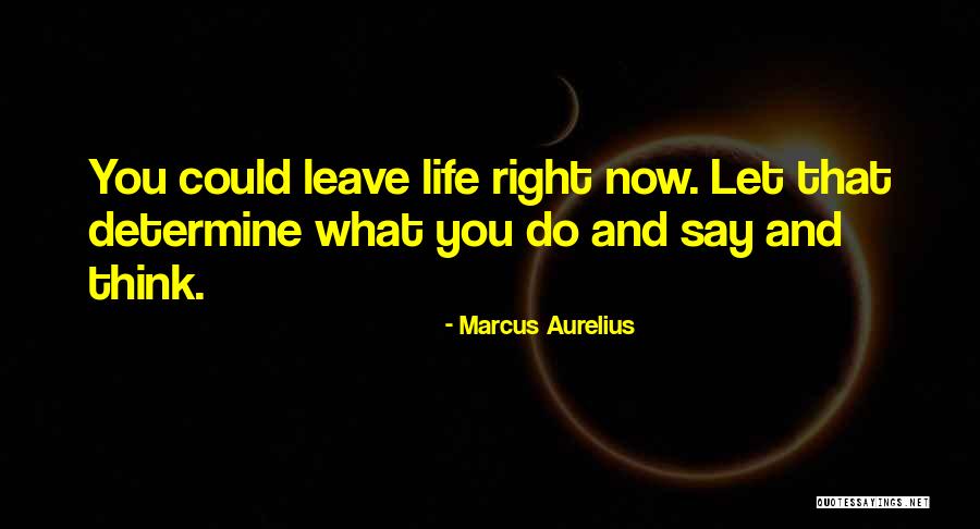 Clowesia Quotes By Marcus Aurelius Clowesia Quotes By Marcus Aurelius