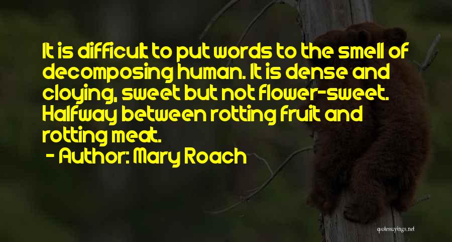 Cloying Quotes By Mary Roach