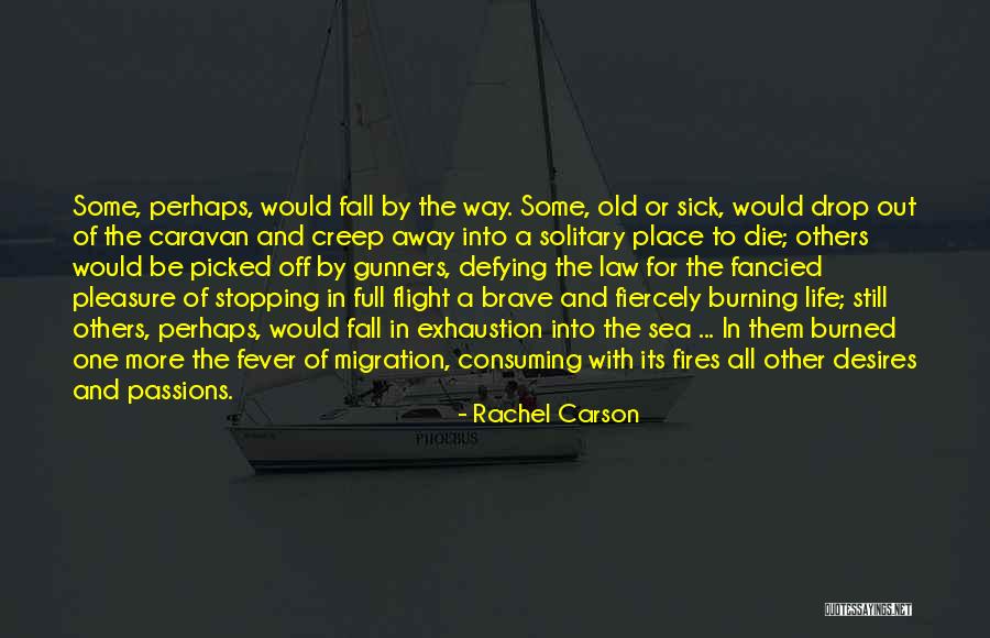 Clubs In Fabric Quotes By Rachel Carson Clubs In Fabric Quotes By Rachel Carson