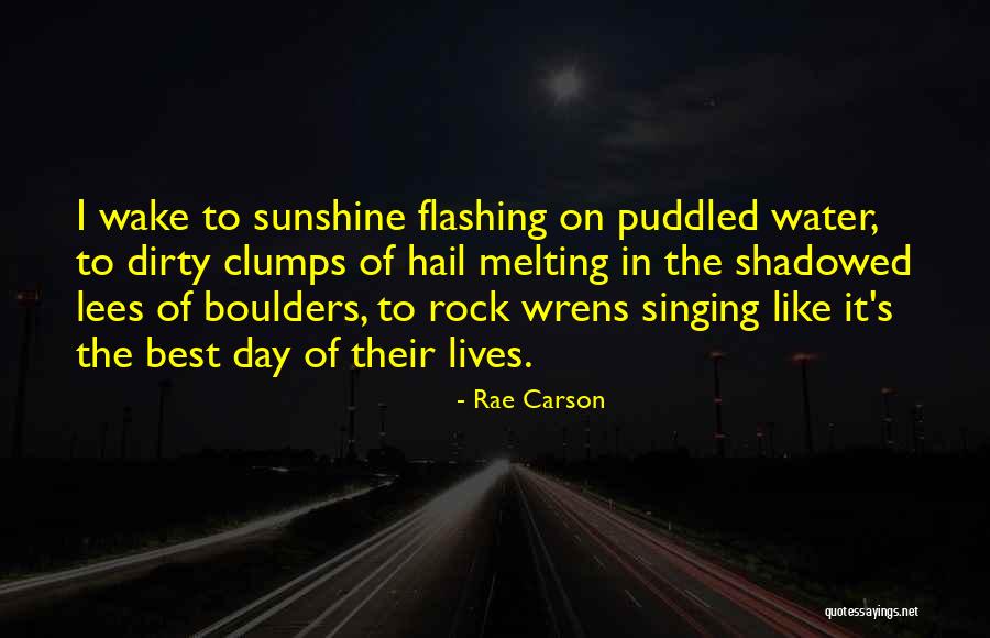 Clumps Quotes By Rae Carson Clumps Quotes By Rae Carson