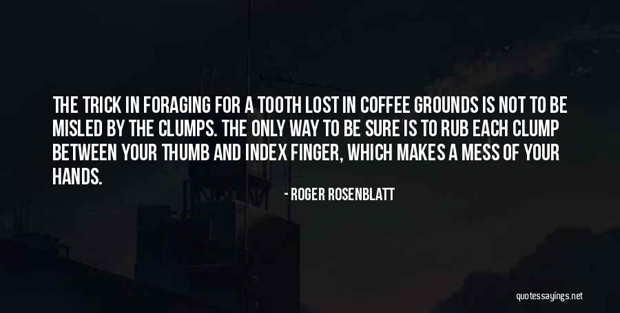 Clumps Quotes By Roger Rosenblatt Clumps Quotes By Roger Rosenblatt