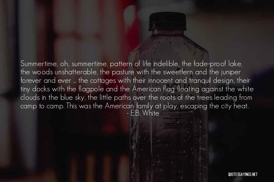 Clunie Hotel Quotes By E.B. White Clunie Hotel Quotes By E.B. White