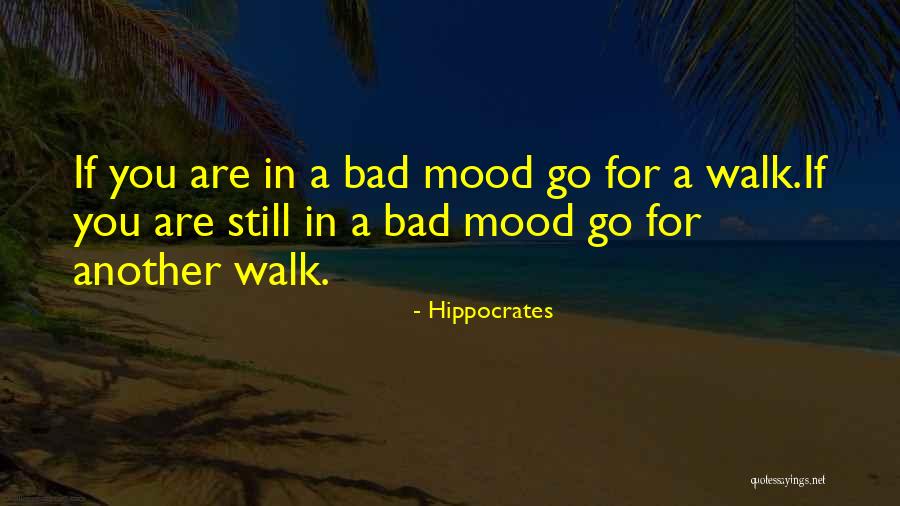 Clutcher Bag Quotes By Hippocrates Clutcher Bag Quotes By Hippocrates