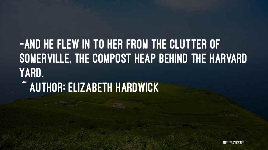 Clutter Quotes By Elizabeth Hardwick
