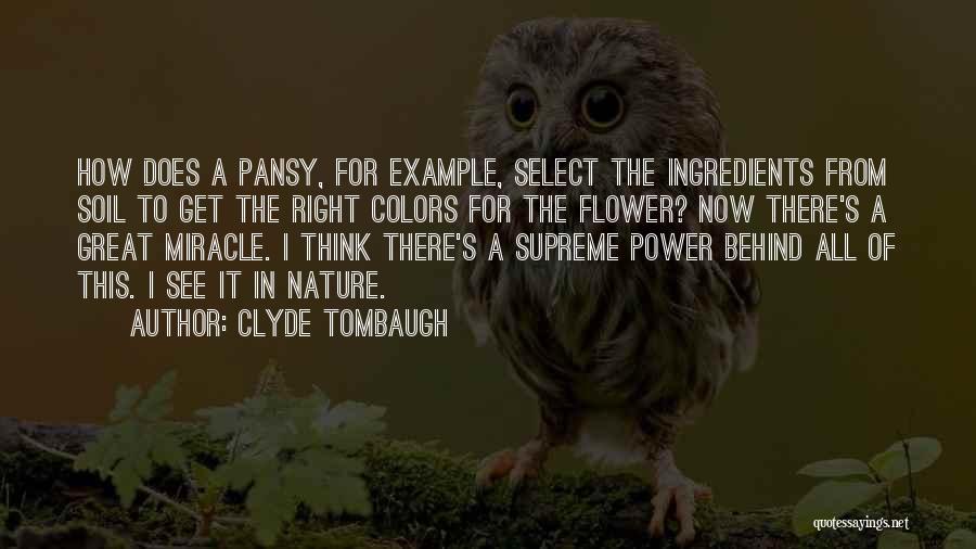 Clyde Tombaugh Quotes 1532120