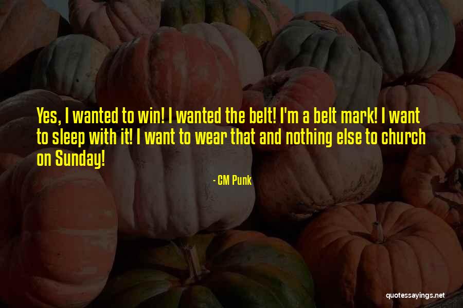 CM Punk Quotes 1119095 CM Punk Quotes 1119095