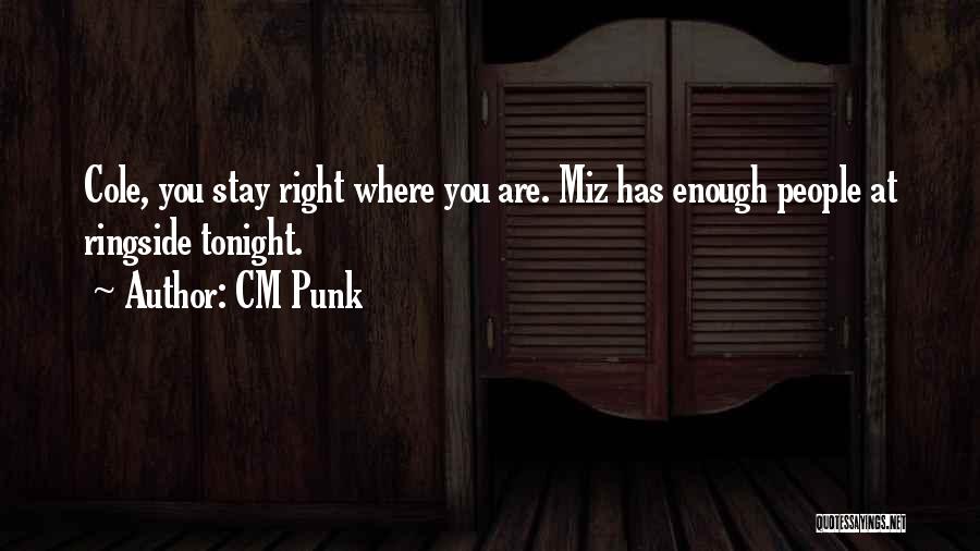 CM Punk Quotes 1580648