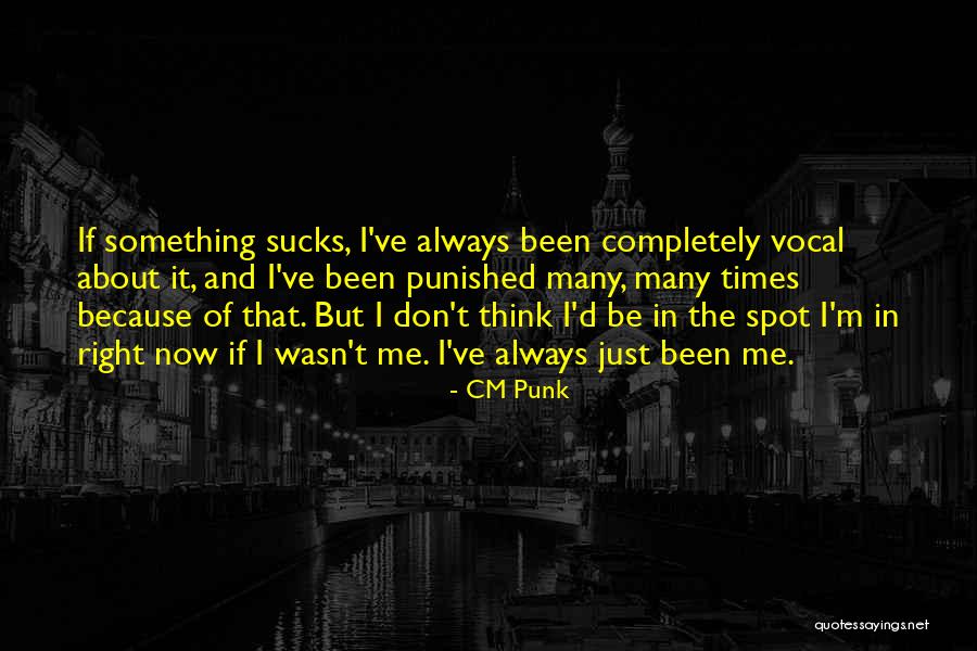 CM Punk Quotes 187783