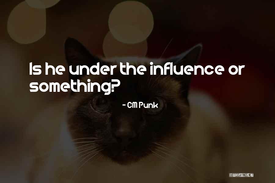CM Punk Quotes 2197308 CM Punk Quotes 2197308