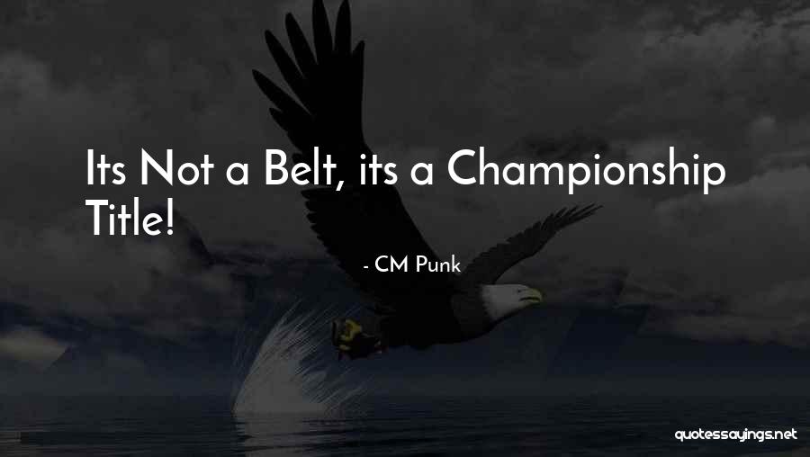 CM Punk Quotes 333376