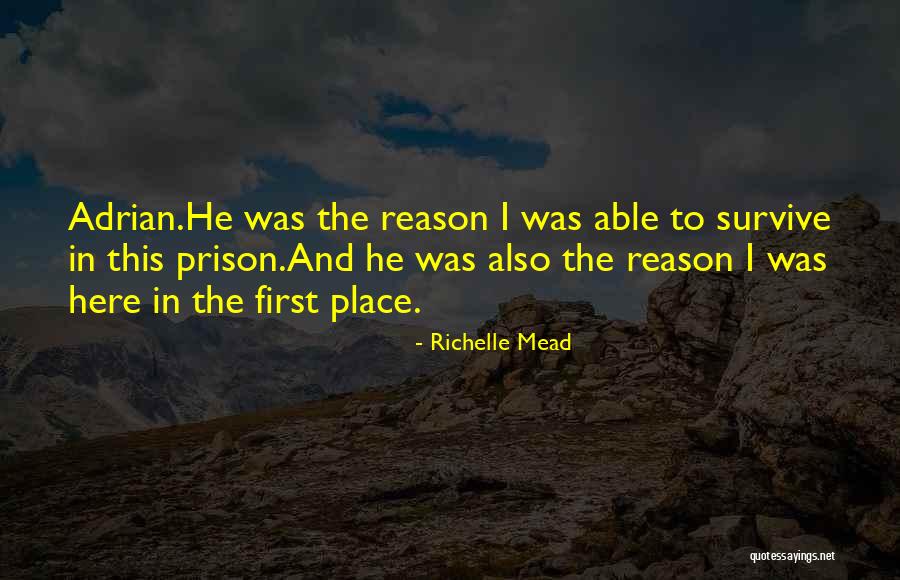 Cmd Echo Remove Quotes By Richelle Mead Cmd Echo Remove Quotes By Richelle Mead
