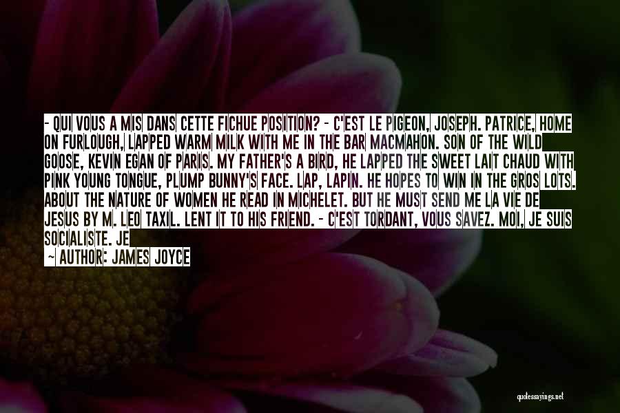 C'mon Son Quotes By James Joyce