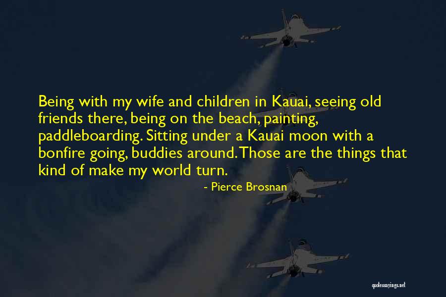 Cmplices Quotes By Pierce Brosnan Cmplices Quotes By Pierce Brosnan