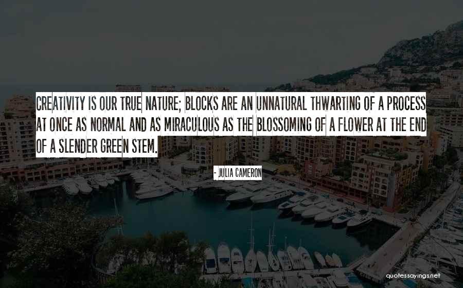 Cnn After Hours Quotes By Julia Cameron Cnn After Hours Quotes By Julia Cameron
