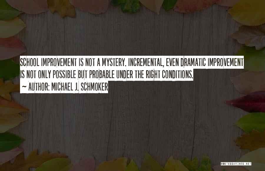 Co Educational School Quotes By Michael J. Schmoker