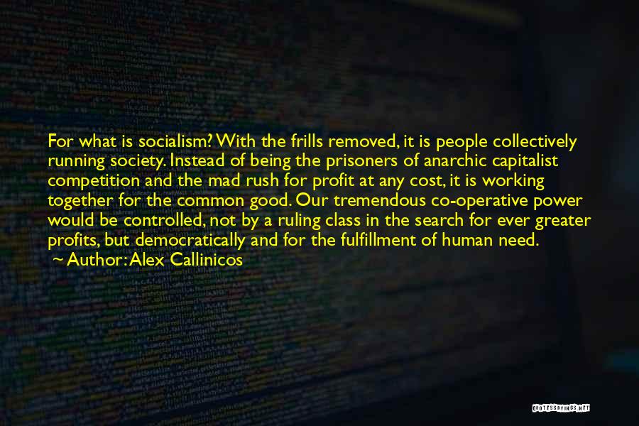 Co Operative Quotes By Alex Callinicos