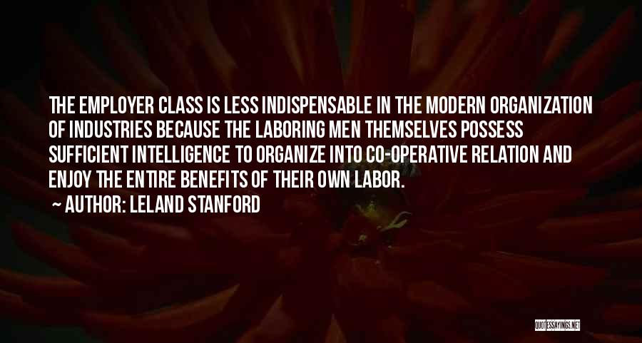 Co Operative Quotes By Leland Stanford