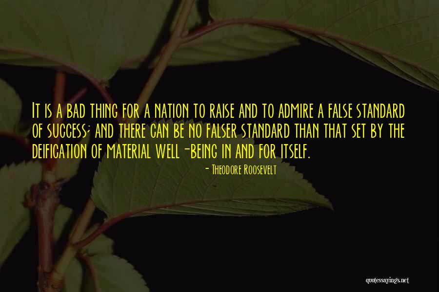Coach Appreciation Quotes By Theodore Roosevelt