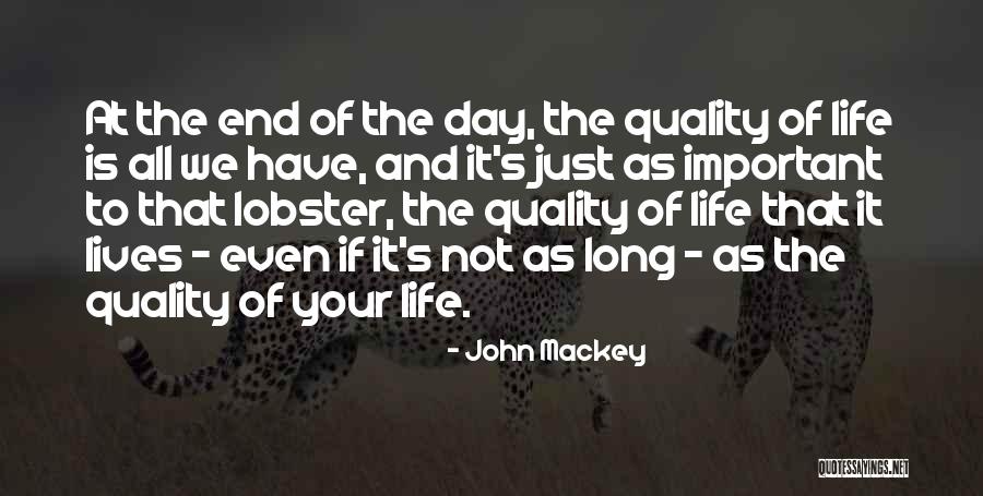 Coaching And Developing Quotes By John Mackey Coaching And Developing Quotes By John Mackey