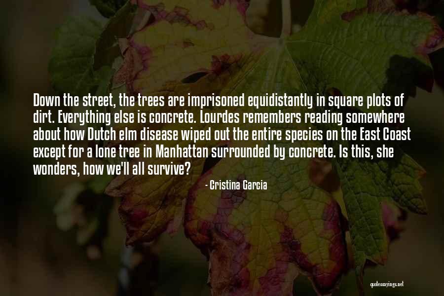 Coagulates Means Quotes By Cristina Garcia Coagulates Means Quotes By Cristina Garcia