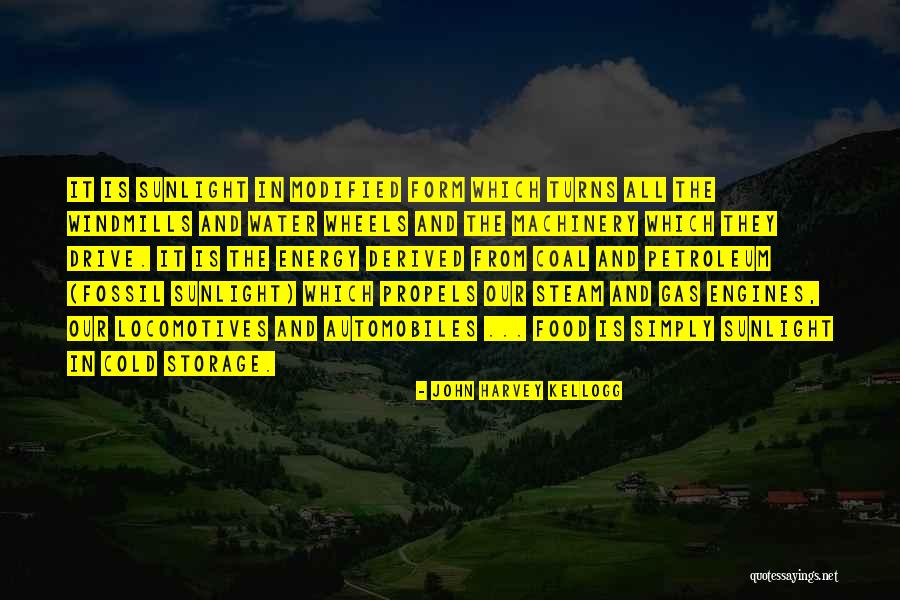 Coal And Petroleum Quotes By John Harvey Kellogg Coal And Petroleum Quotes By John Harvey Kellogg