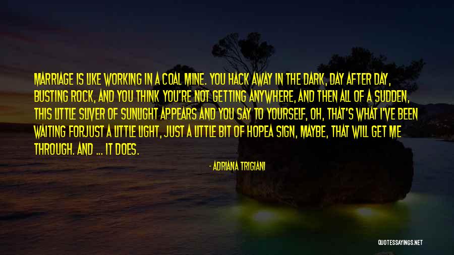 Coal Mine Quotes By Adriana Trigiani