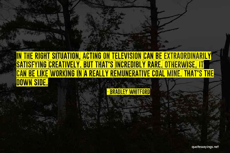 Coal Mine Quotes By Bradley Whitford