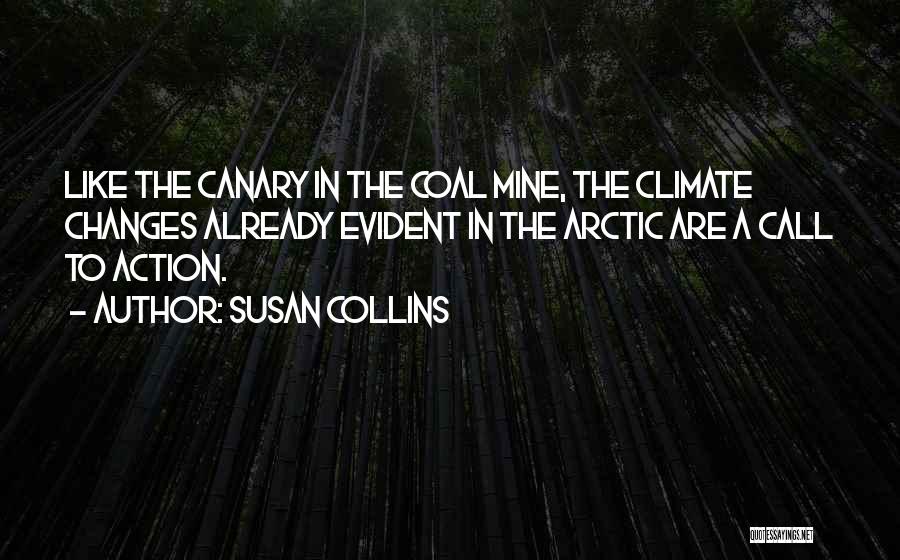 Coal Mine Quotes By Susan Collins