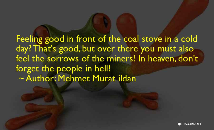 Coal Miners Quotes By Mehmet Murat Ildan