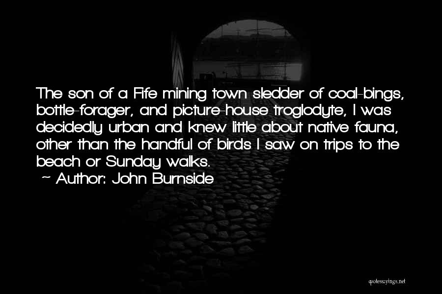 Coal Mining Quotes By John Burnside