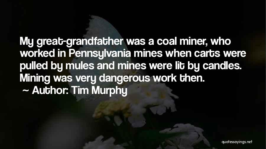 Coal Mining Quotes By Tim Murphy