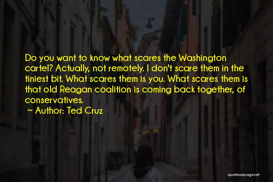 Coalition Quotes By Ted Cruz