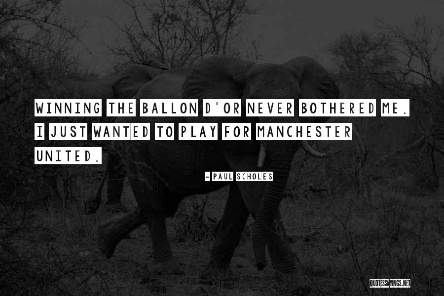 Coarseness Rudeness Quotes By Paul Scholes Coarseness Rudeness Quotes By Paul Scholes