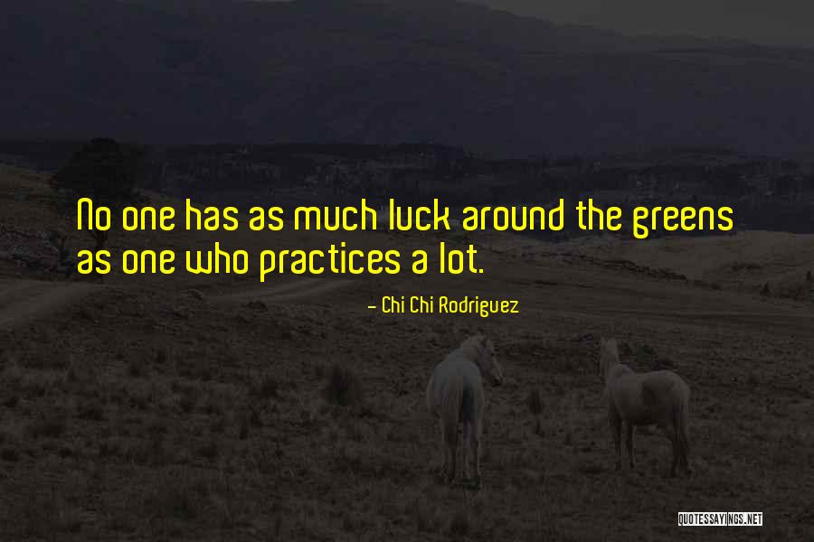Coarseness Workability Quotes By Chi Chi Rodriguez Coarseness Workability Quotes By Chi Chi Rodriguez