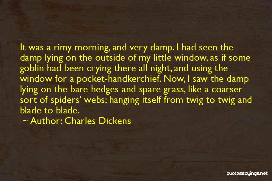 Coarser Quotes By Charles Dickens