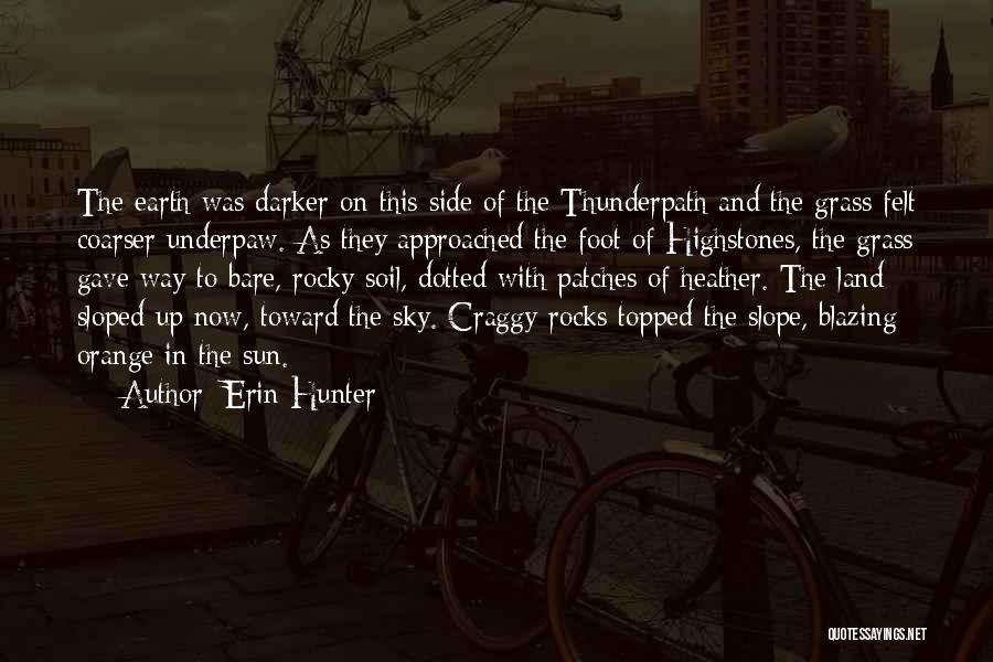 Coarser Quotes By Erin Hunter