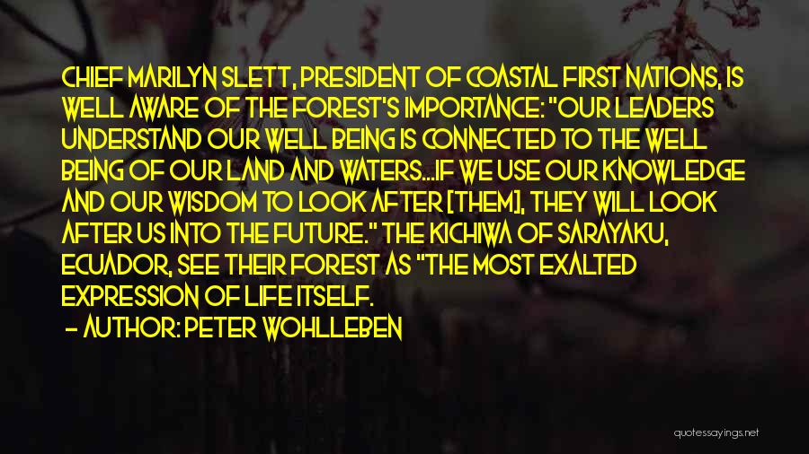 Coastal Quotes By Peter Wohlleben