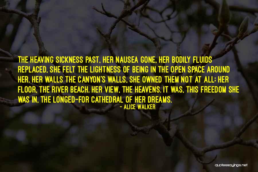 Coastlands Hotel Quotes By Alice Walker Coastlands Hotel Quotes By Alice Walker