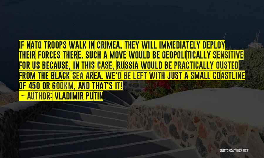 Coastline Quotes By Vladimir Putin