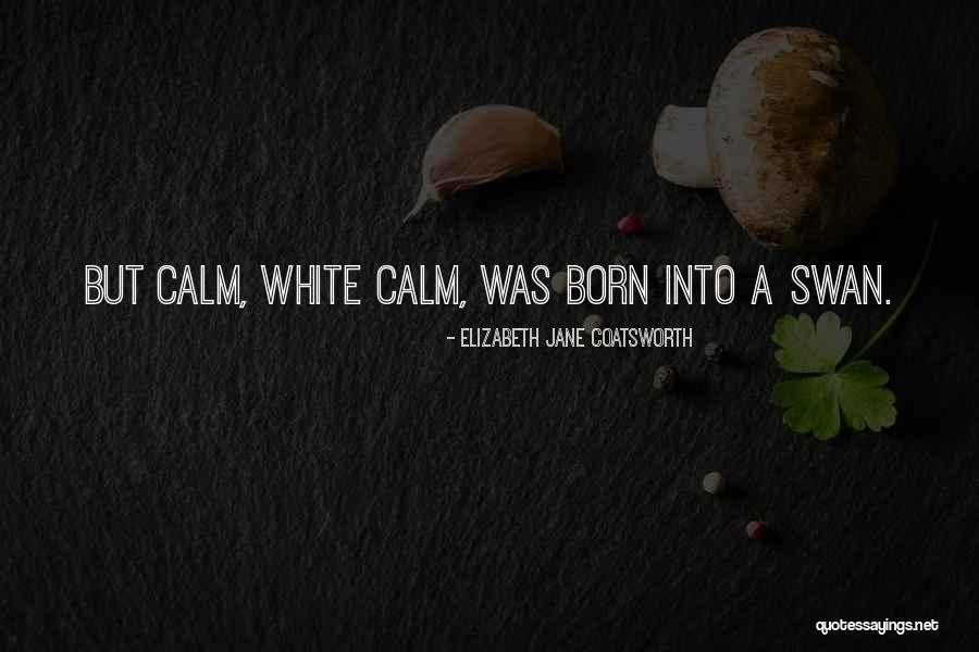 Coatsworth Elizabeth Quotes By Elizabeth Jane Coatsworth Coatsworth Elizabeth Quotes By Elizabeth Jane Coatsworth