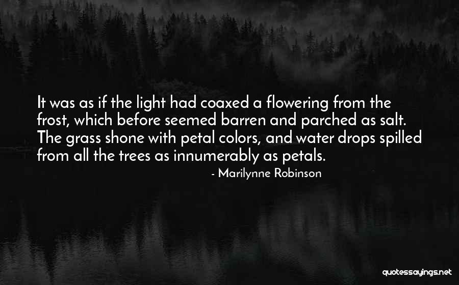 Coaxed Quotes By Marilynne Robinson Coaxed Quotes By Marilynne Robinson