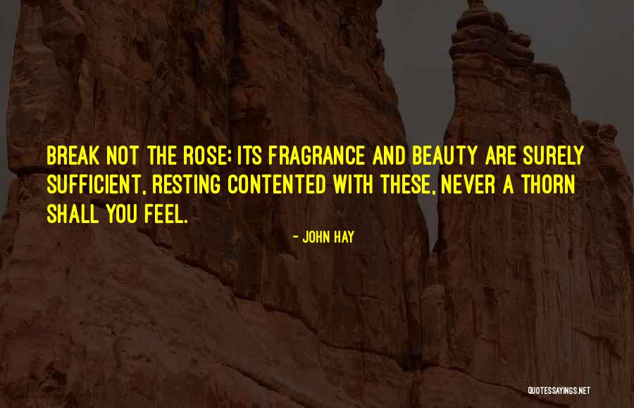 Cobains Sister Quotes By John Hay Cobains Sister Quotes By John Hay